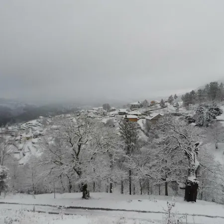 Fisgas Nyaraló *