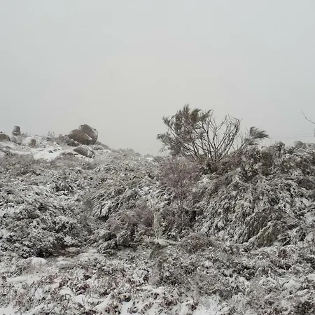 Fisgas Casa de Férias