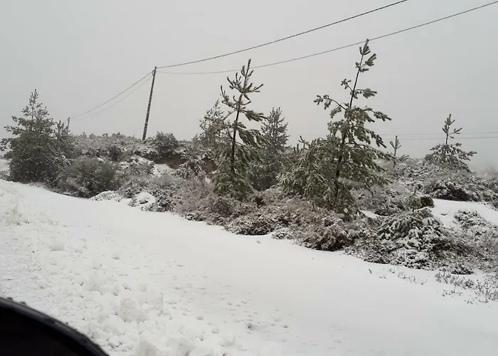 Holiday home Fisgas Bilho