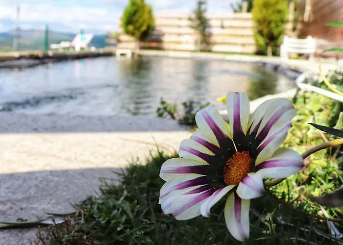 Fisgas Holiday home *